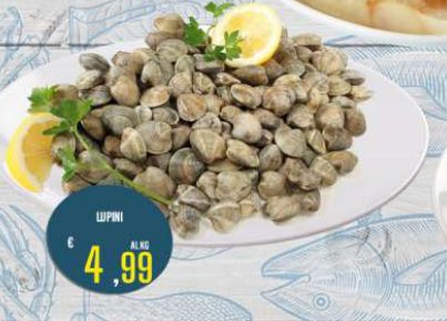 Lupini