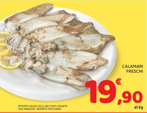 Calamari freschi