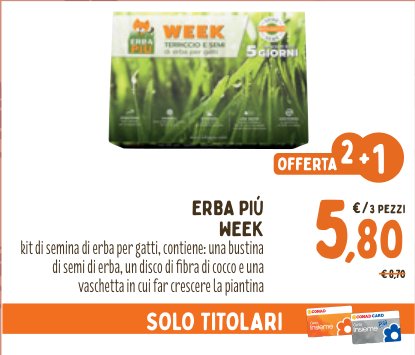 Erba Più Week, kit di semina erba per gatti