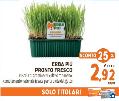 Erba Più Pronto Fresco