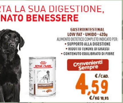Gastrointestinal Low Fat Umido 420 g