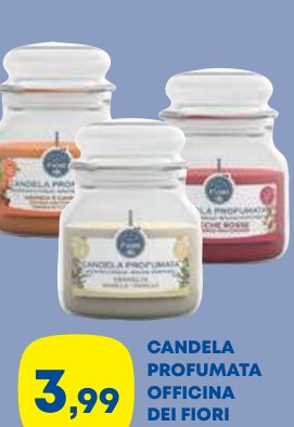 Candela profumata Officina dei Fiori