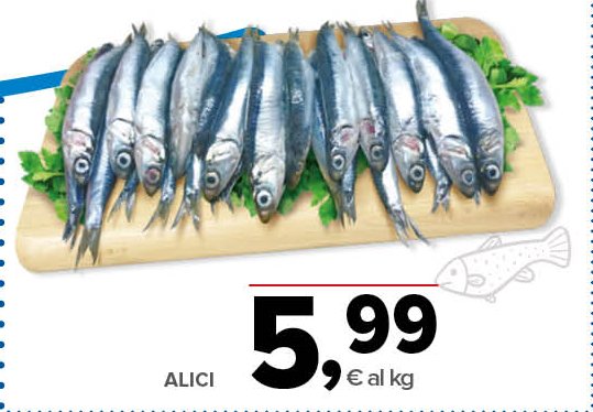 Alici