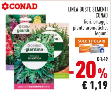 Buste sementi, fiori, ortaggi, piante aromatiche e legumi