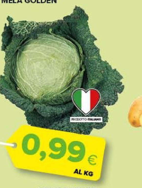 Cavolo verza