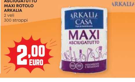Asciugatutto Maxi Rotolo