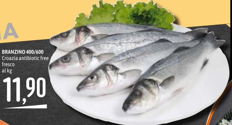 Branzino 400/600 Croazia antibiotic free fresco