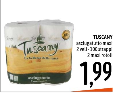 Asciugatutto maxi 2 veli, 100 strappi, 2 maxi rotoli