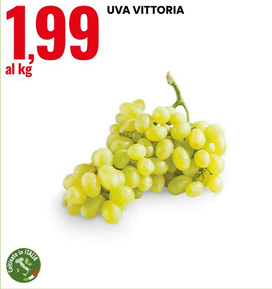 Uva Vittoria